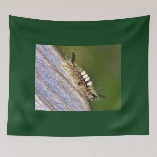 Item preview, Caterpillar designed and sold by lynn carter.