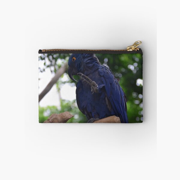 Item preview, National Aviary Pittsburgh Series - 19 designed and sold by sarahshanely.