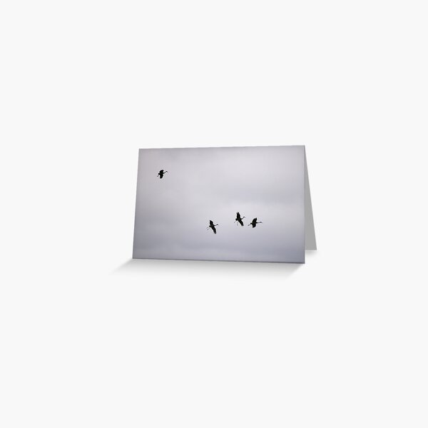 Cranes Flying 7 Greeting Card