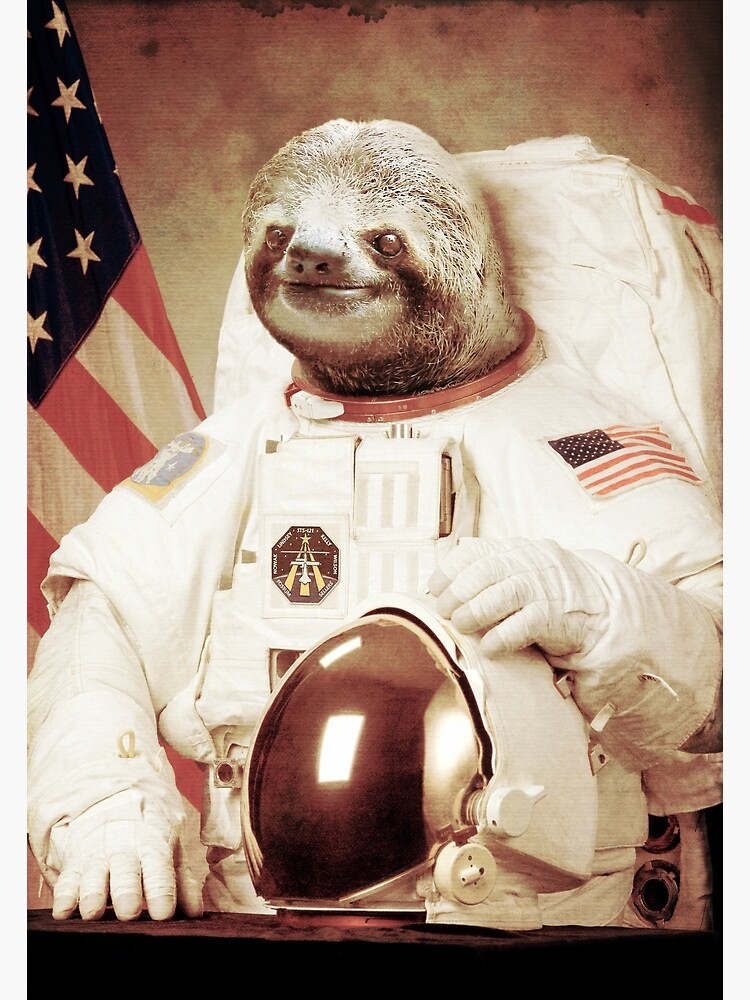 Discover Astronaut Sloth Canvas