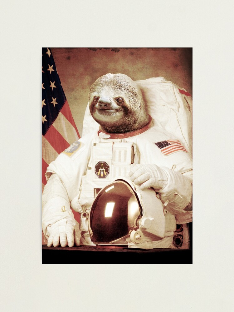 Thumbnail 2 of 3, Photographic Print, Astronaut Sloth designed and sold by BakusPT.