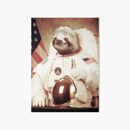 Artikel-Vorschau von Astronaut Sloth, designt und verkauft von BakusPT.