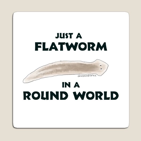Just a Flatworm in a Round World Magnet