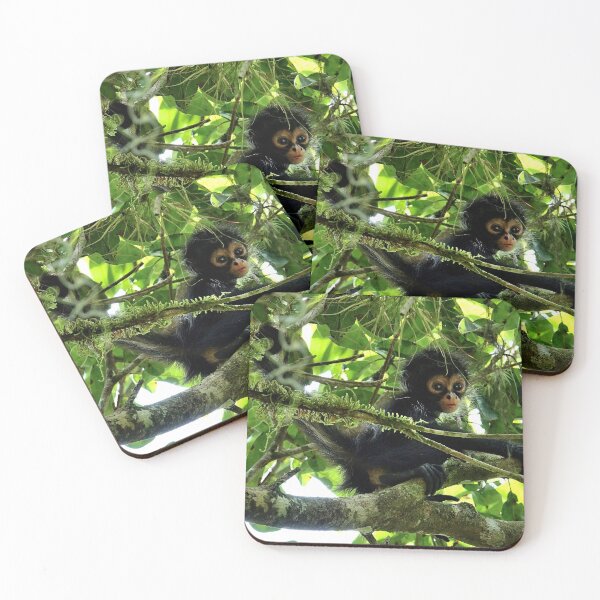Item preview, Guatemala - Tikal archaeological site, baby monkey designed and sold by franck380.