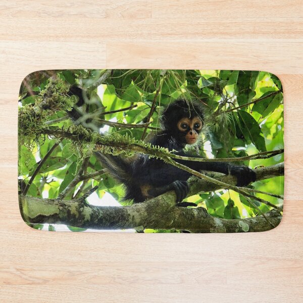 Item preview, Guatemala - Tikal archaeological site, baby monkey designed and sold by franck380.