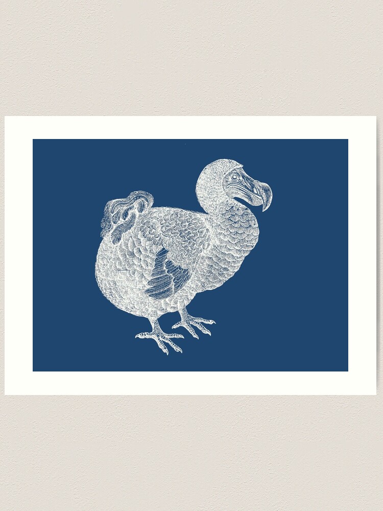 Carte MATHOU Dodo Blue Art Editions