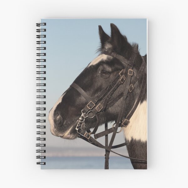 Item preview, close up horse portrait designed and sold by alan tunnicliffe.