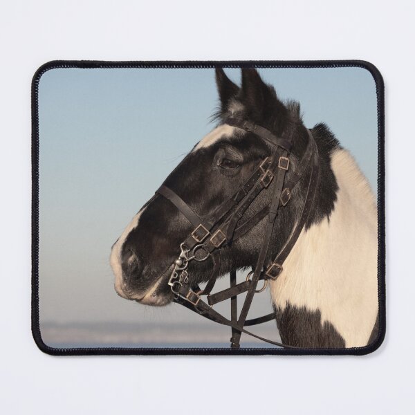 Item preview, close up horse portrait designed and sold by alan tunnicliffe.
