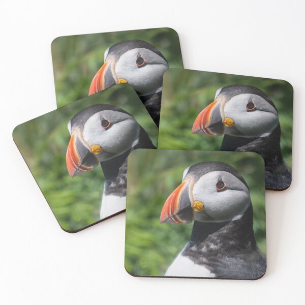 Item preview, close up puffin portrait designed and sold by alan tunnicliffe.