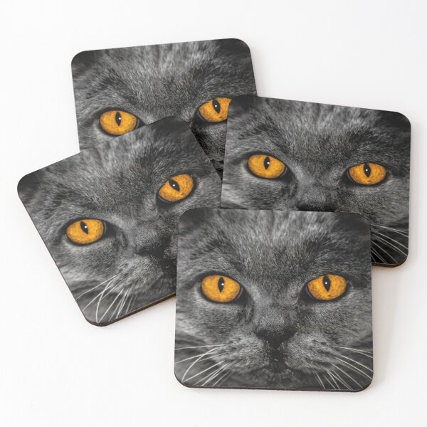 Item preview, Beautiful Grey Cat With Orange Eyes For Cat Lovers designed and sold by kris-money.