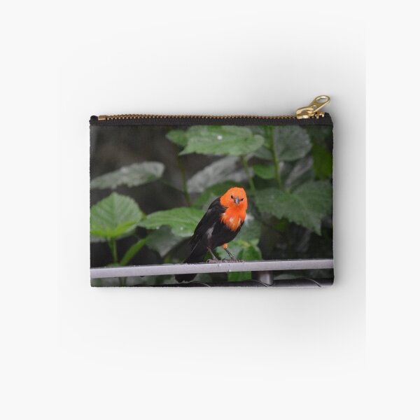 Item preview, National Aviary Pittsburgh Series - 22 designed and sold by sarahshanely.