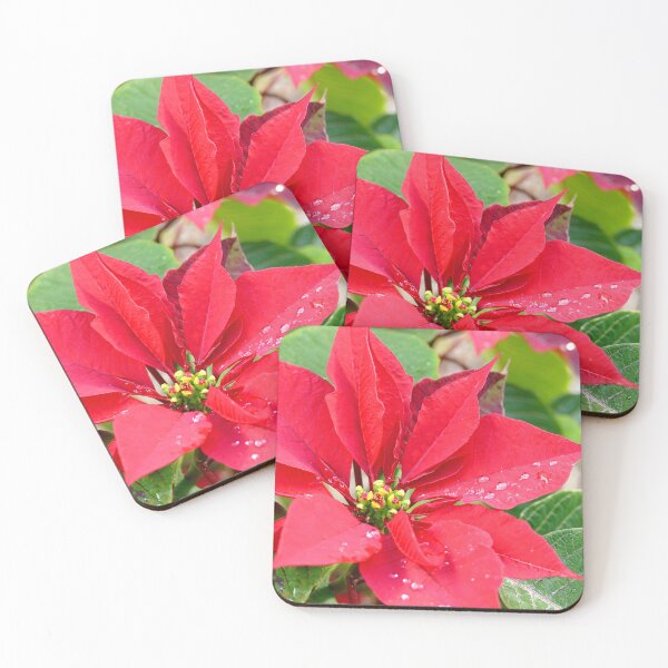 Item preview, Raindrops on the Poinsettias designed and sold by jaynerushton.