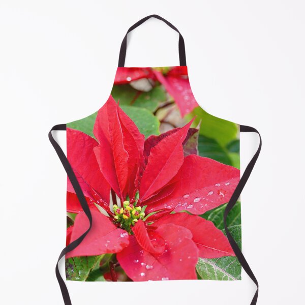 Item preview, Raindrops on the Poinsettias designed and sold by jaynerushton.