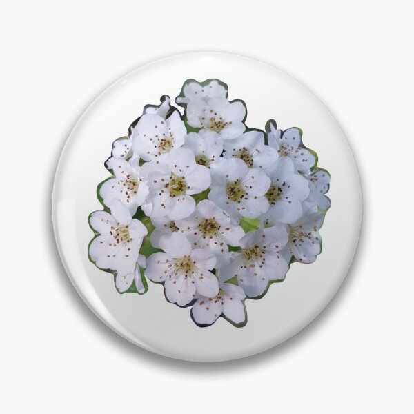 Item preview, White spring flower photo  designed and sold by Pixtela ..