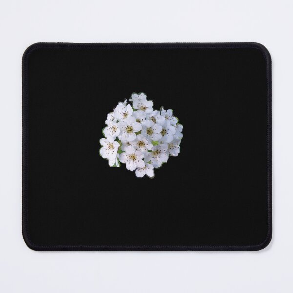Item preview, White spring flower photo designed and sold by Pixtela ..
