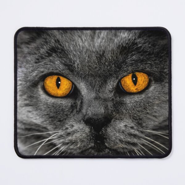 Item preview, Beautiful Grey Cat With Orange Eyes For Cat Lovers designed and sold by kris-money.