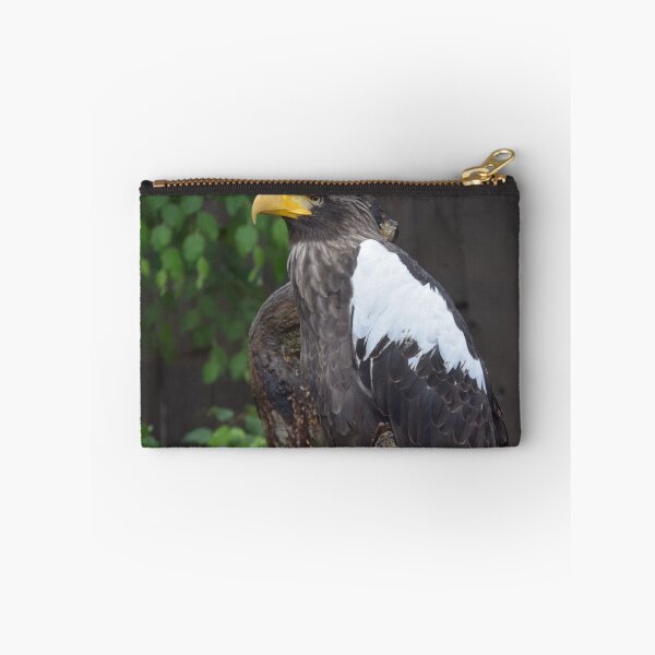 Item preview, National Aviary Pittsburgh Series - 23 designed and sold by sarahshanely.