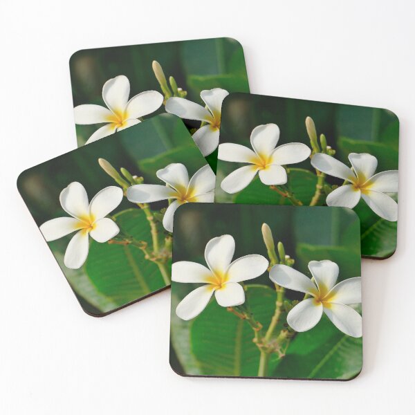 Item preview, White Frangipani designed and sold by Birgit Moldenhauer.