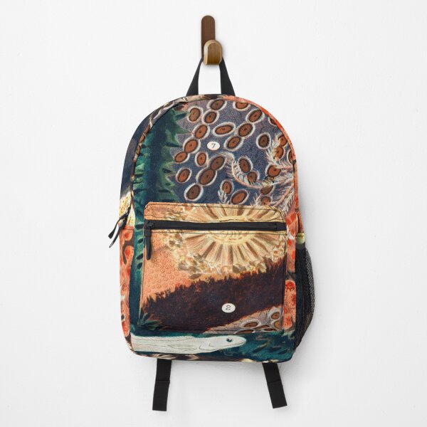 Item preview, Barrier Reef Trepang from The Great Barrier Reef of Australia by William Saville Kent ,the great barrier reef of Australia, Fish, designed and sold by Tamas Das.