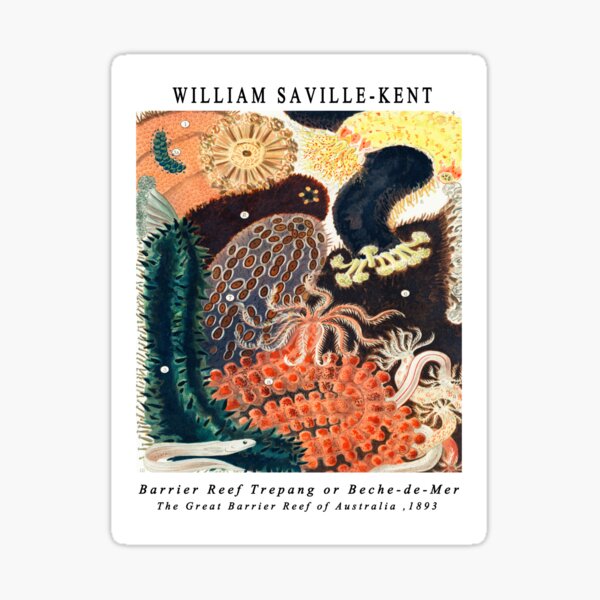 Artikel-Vorschau von Barrier Reef Trepang aus dem Great Barrier Reef von Australien von William Saville Kent, das Great Barrier Reef von Australien, Fisch,, designt und verkauft von Tamas Das.