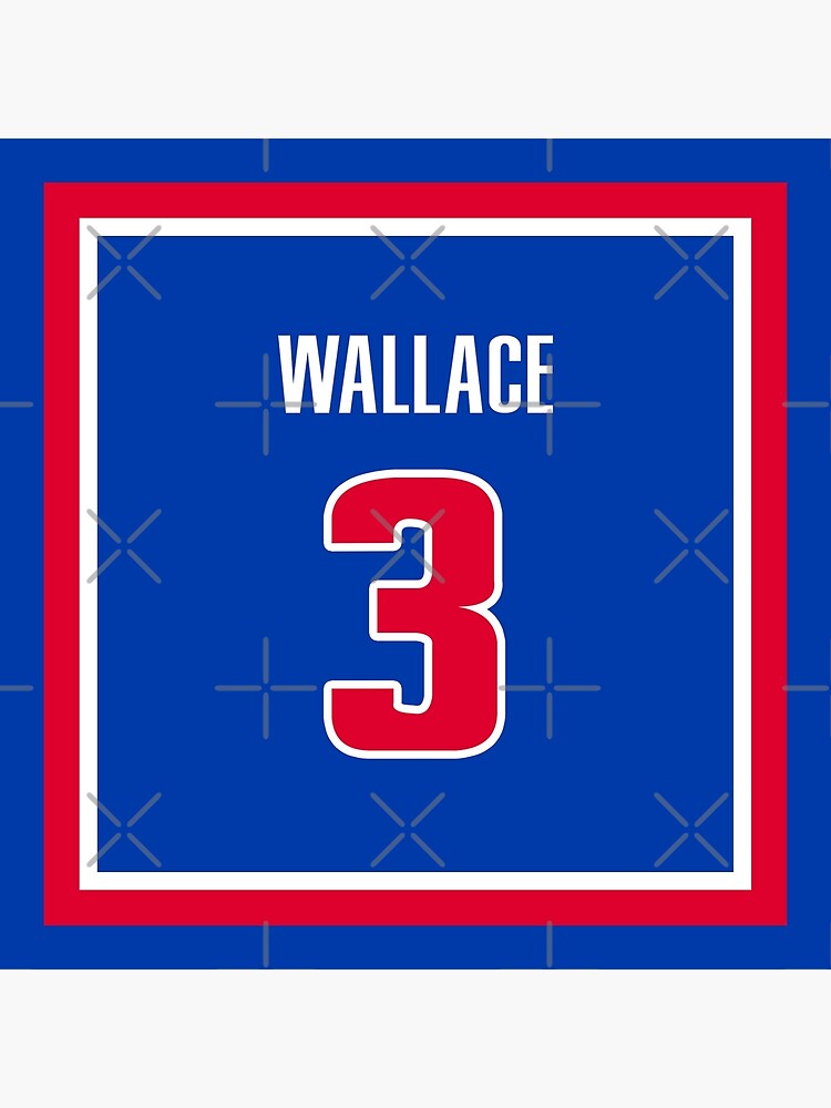 Ben Wallace Pistons 03/04