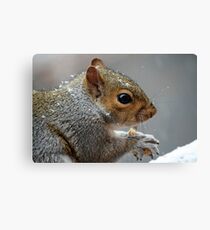 Yum! Frosted Peanuts! Canvas Print