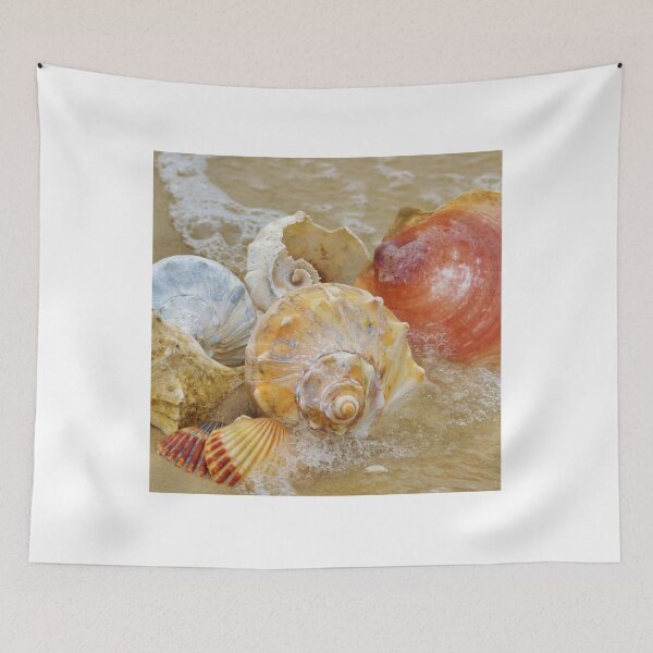 Item preview, Seashells by the Seashore designed and sold by BeachBumPics.