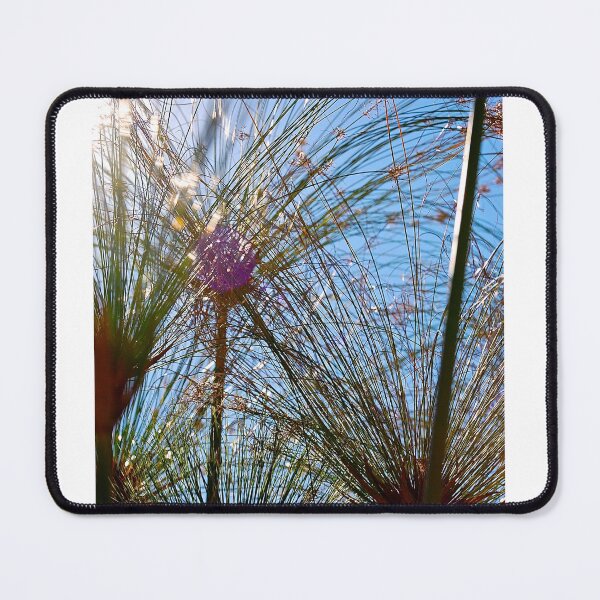 Item preview, no title designed and sold by BreeFarinaPhoto.
