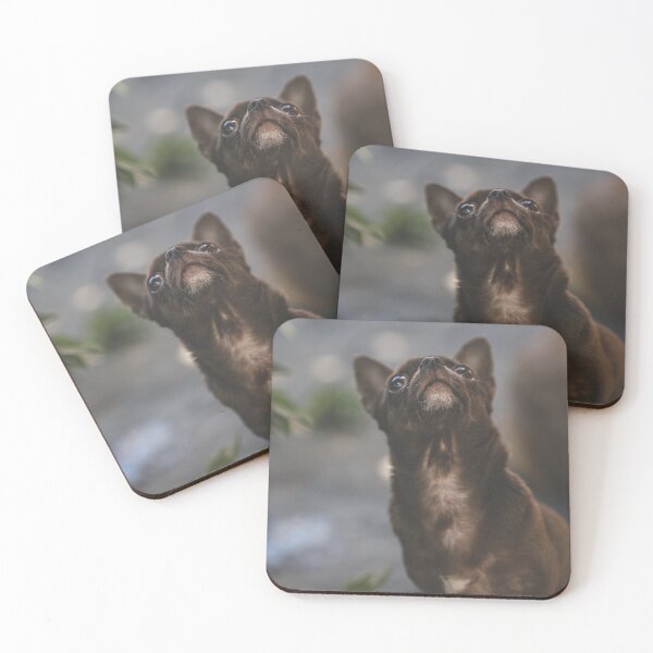 Item preview, Chocolate Chihuahua, brown Chihuahua designed and sold by GiiReez.