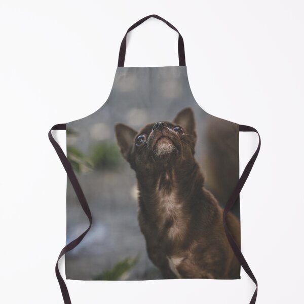 Item preview, Chocolate Chihuahua, brown Chihuahua designed and sold by GiiReez.