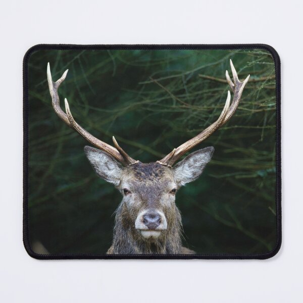 Item preview, Highland Stag designed and sold by TMcG72.