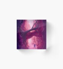 The Ravine Acrylic Block