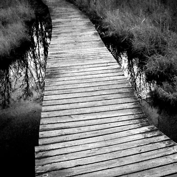 Artwork thumbnail, The Path by Philipp Verges