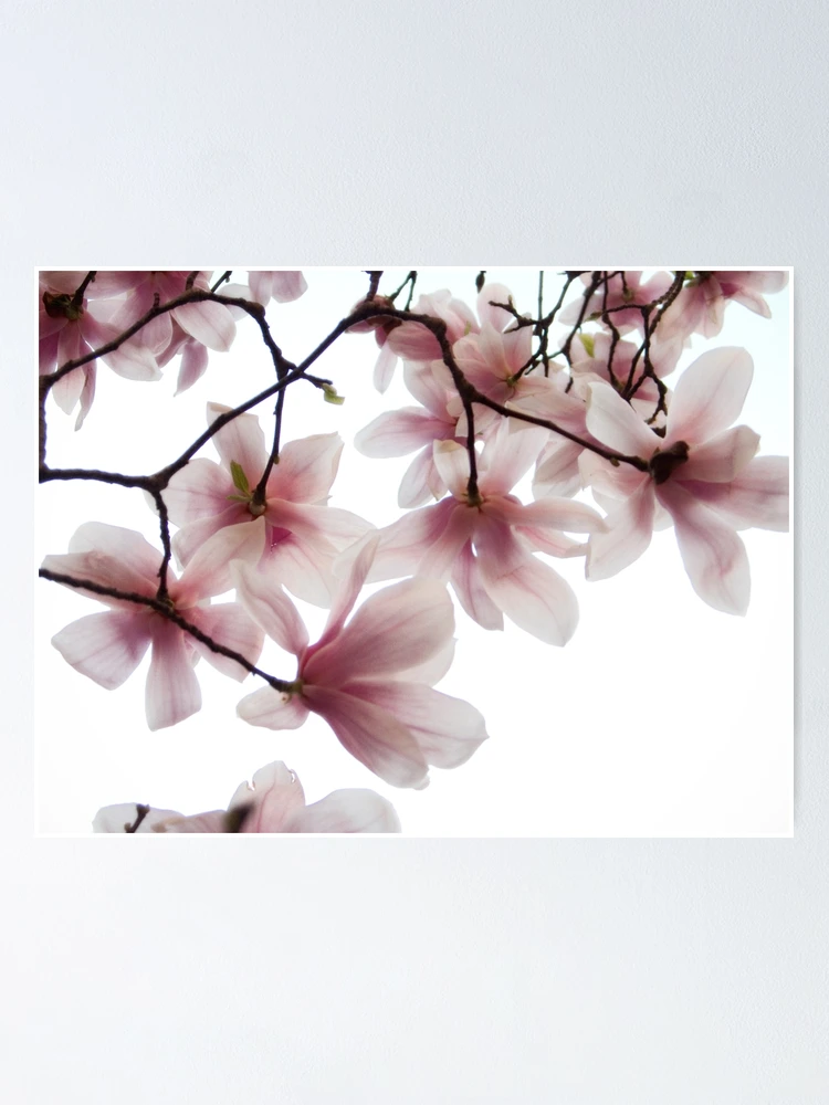Thumbnail 1 of 3, Poster, Spring (up) designed and sold by Philipp Verges.
