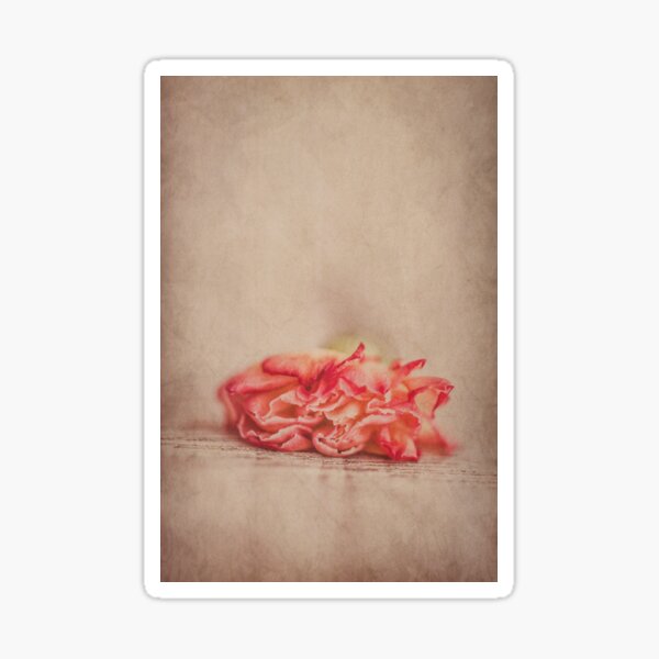 Aperçu de l'œuvre Une simple attente l Carnation Photography créée et vendue par KEnzPhotography.