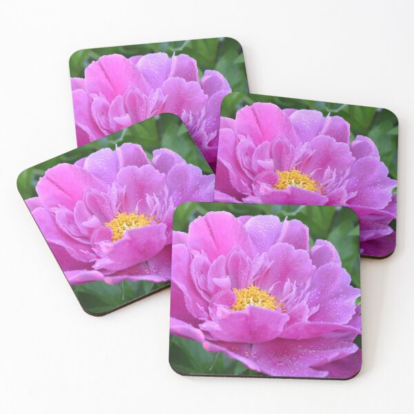 Item preview, A peony in the garden designed and sold by Claude Laprise.