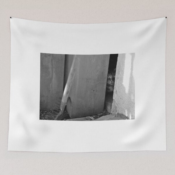 Item preview, Scaredy Cat designed and sold by Mark Bangert.