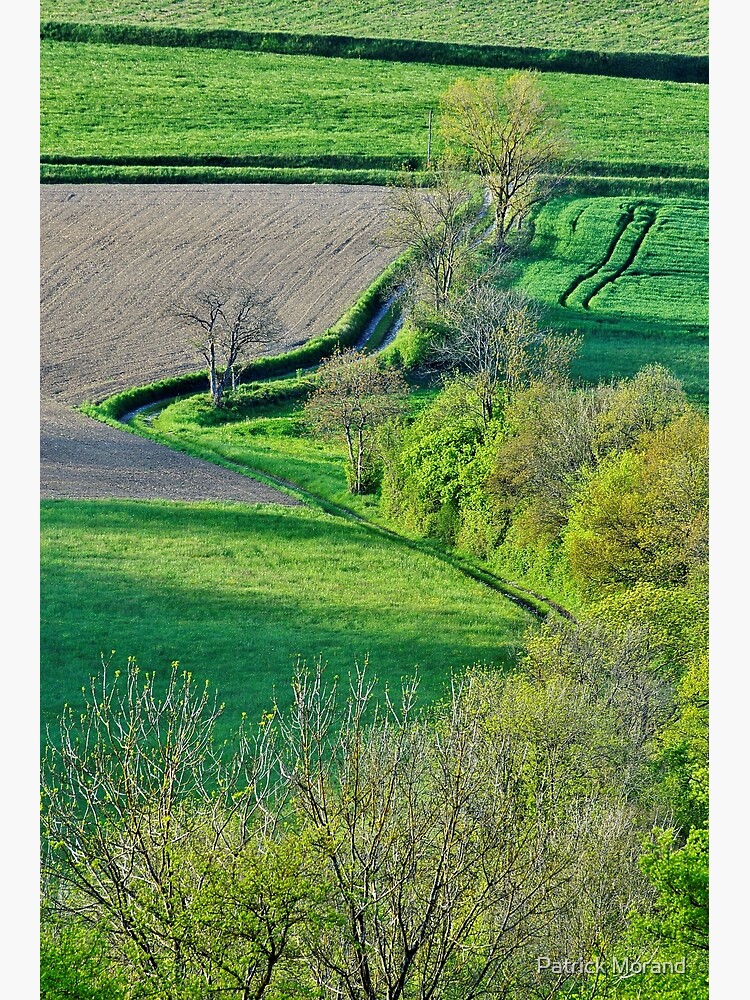 Springtime on the french countryside by patmo