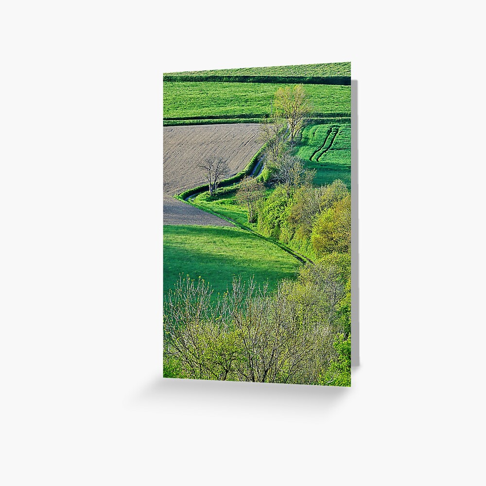 Item preview, Greeting Card designed and sold by patmo.