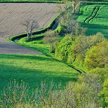 Artwork thumbnail, Springtime on the french countryside by Patrick Morand