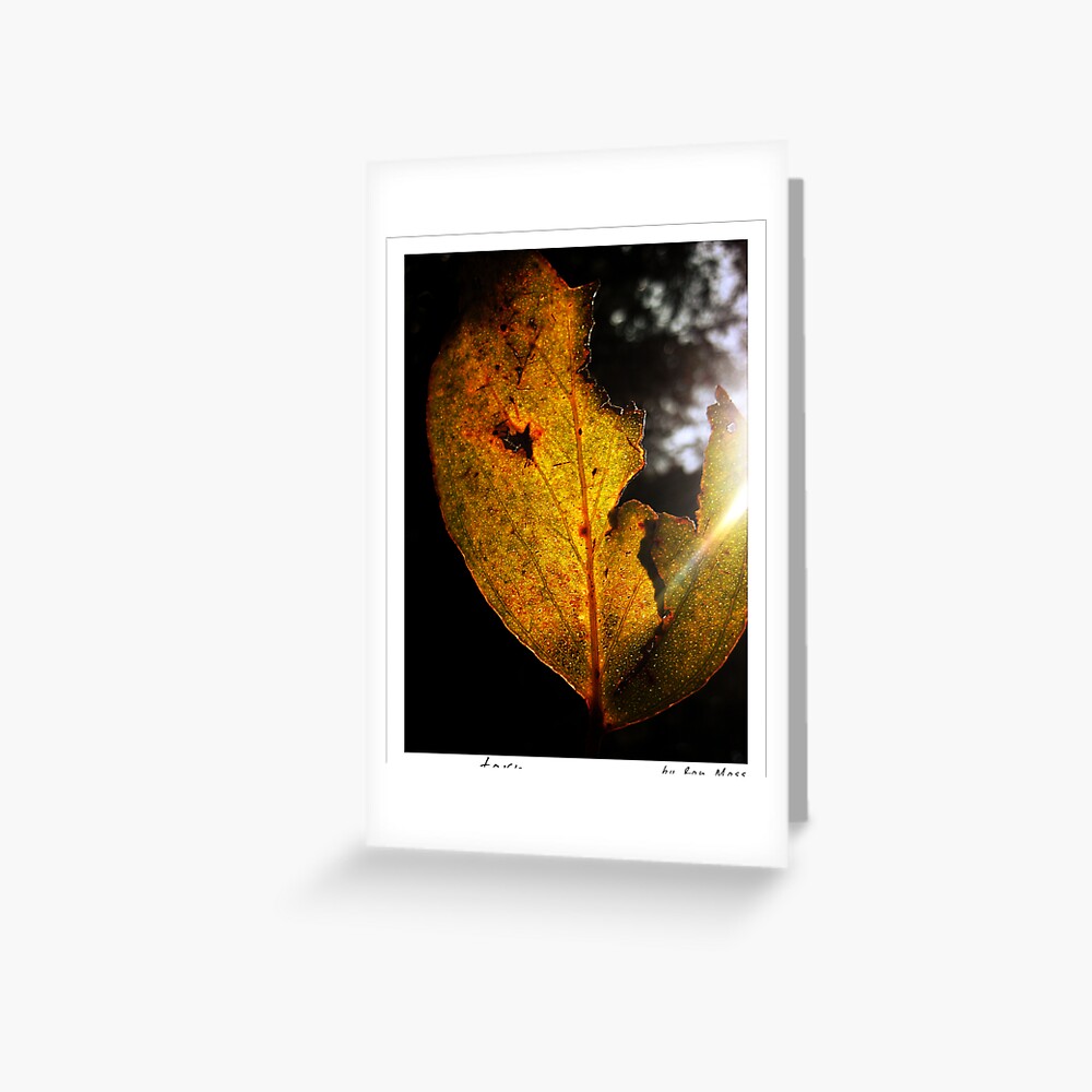 Item preview, Greeting Card designed and sold by ronmoss.