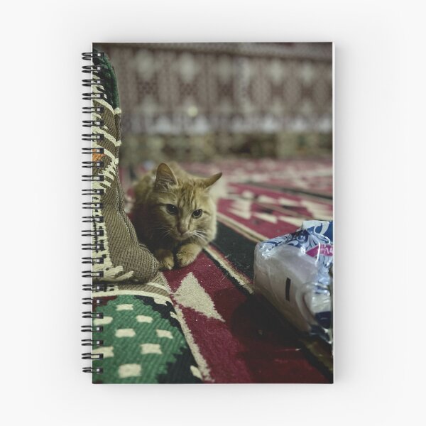 Artikelvorschau, Straßenkatze, Jordanien entworfen und verkauft von dabldabl.