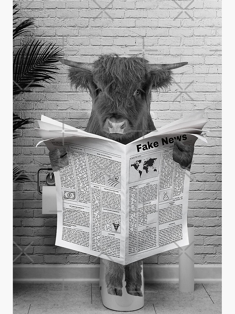 Scottish Highland Cow on Toilet Reading Newspaper | Poster