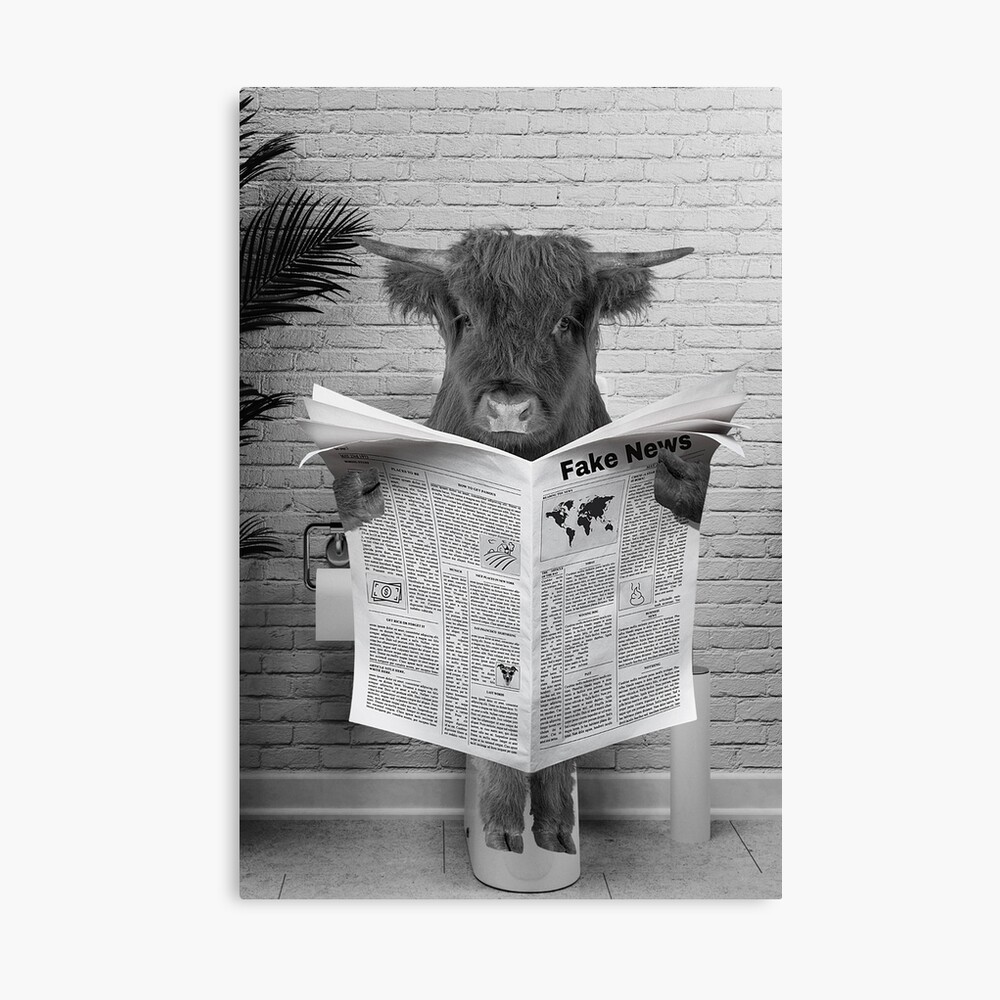 Scottish Highland Cow on Toilet Reading Newspaper | Art Board Print