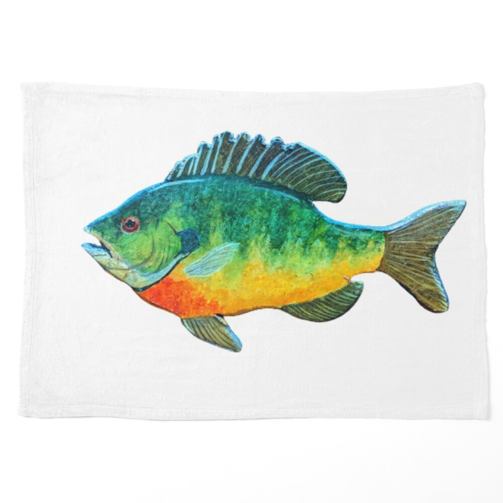 Bluegill  Fish art, Fish drawings, Wildlife paintings