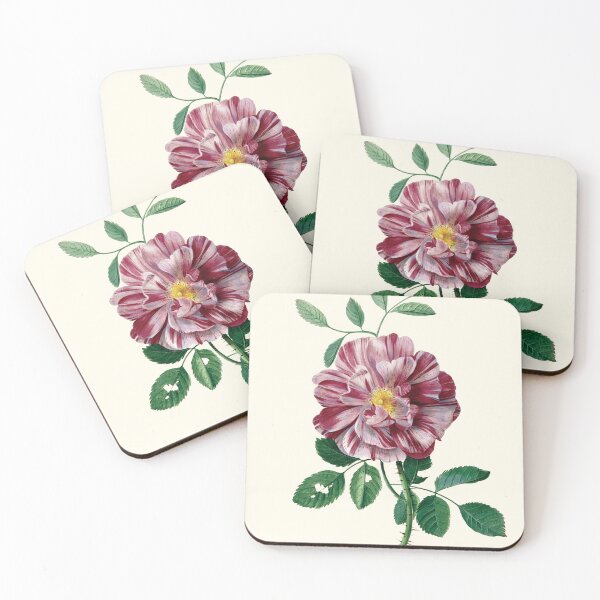 Item preview, Vintage Gallic Rose (Rosa gallica L. ‘Versicolor’) Print | Pieter Withoos designed and sold by LaMadeleine.