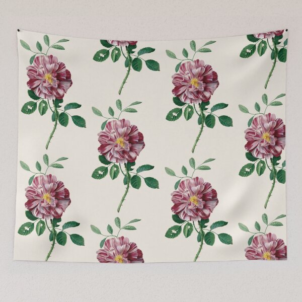 Item preview, Vintage Gallic Rose (Rosa gallica L. ‘Versicolor’) Print | Pieter Withoos designed and sold by LaMadeleine.