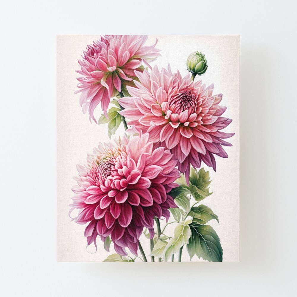 Dahlia Illustration Watercolor Canvas Art Print | Orange & online Pink | Gift