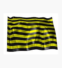 Love black and yellow stripes Photographic Print