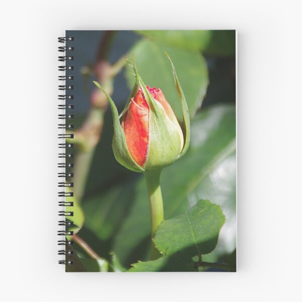 Item preview, Red Rose Bud designed and sold by lezvee.